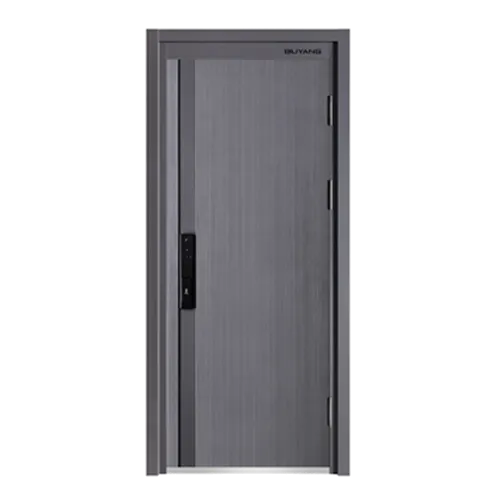 Cửa An Toàn/Cửa Chống Trộm