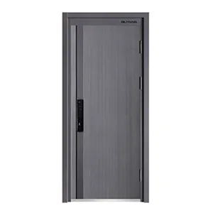 Cửa An Toàn/Cửa Chống Trộm